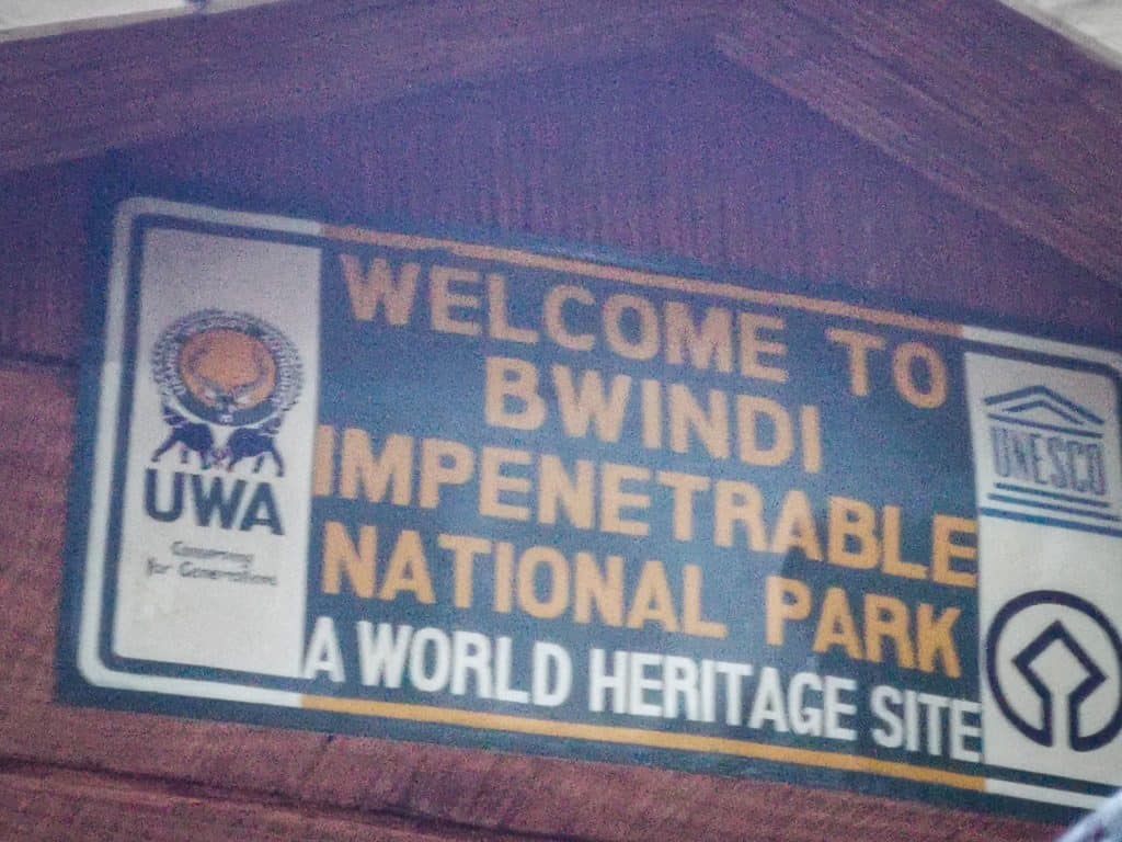 Bwindi impenetrable forest.