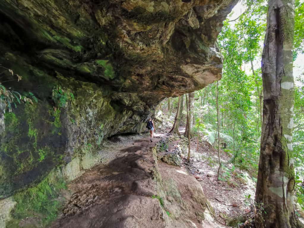 Twin Falls Springbrook Queensland
