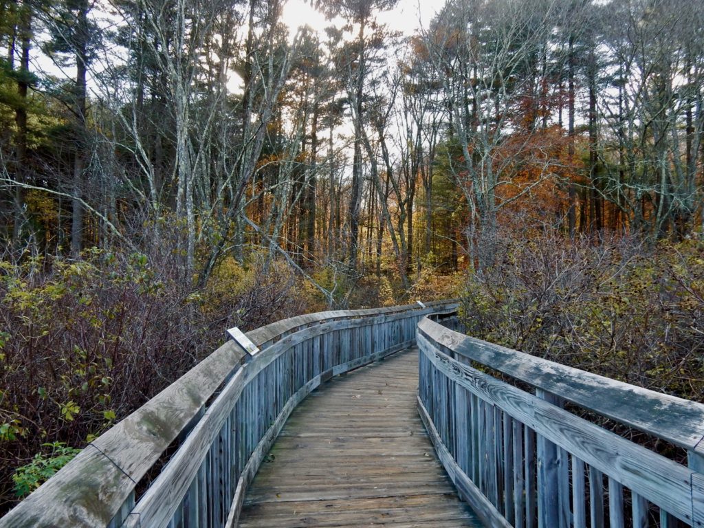 Boardwalk Chatfield Hollow SP Killingworth CT Boardwalk Chatfield Hollow SP Killingworth CT