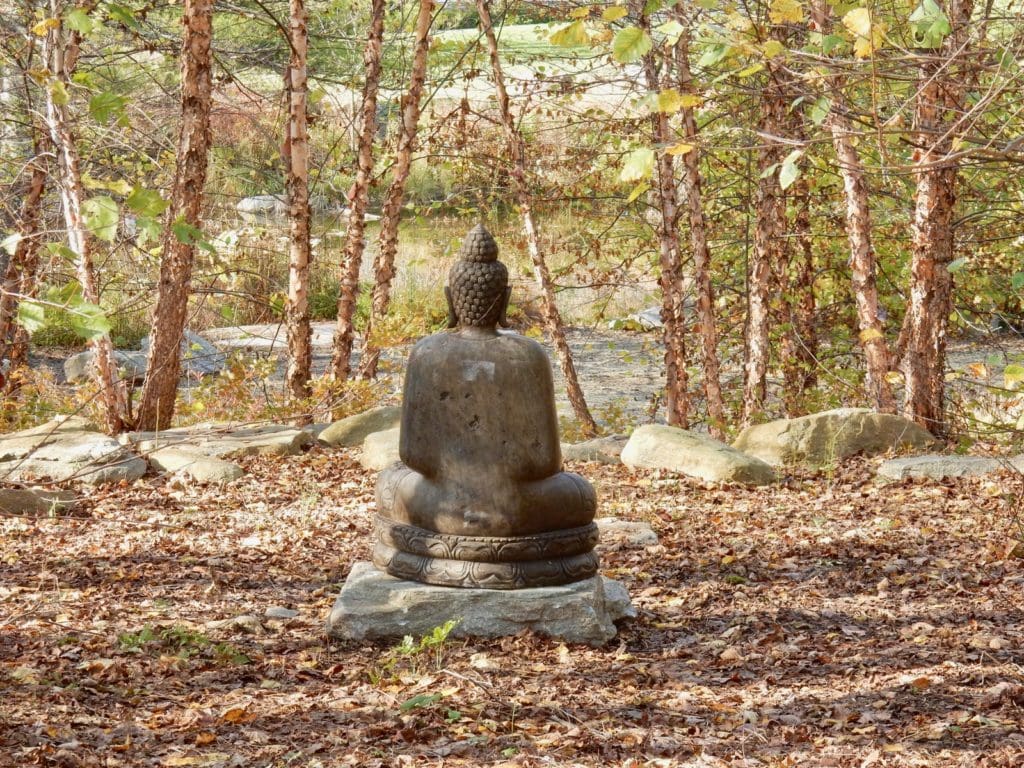 Budha at Chatfield Hollow Inn Budha at Chatfield Hollow Inn
