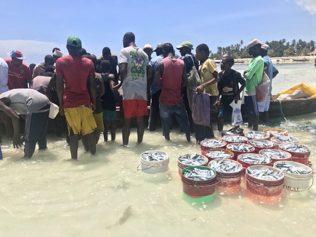 Pescatori che vendono i pesci appena pescati dalle barche sulla spiaggia di Nungwi Zanzibar
