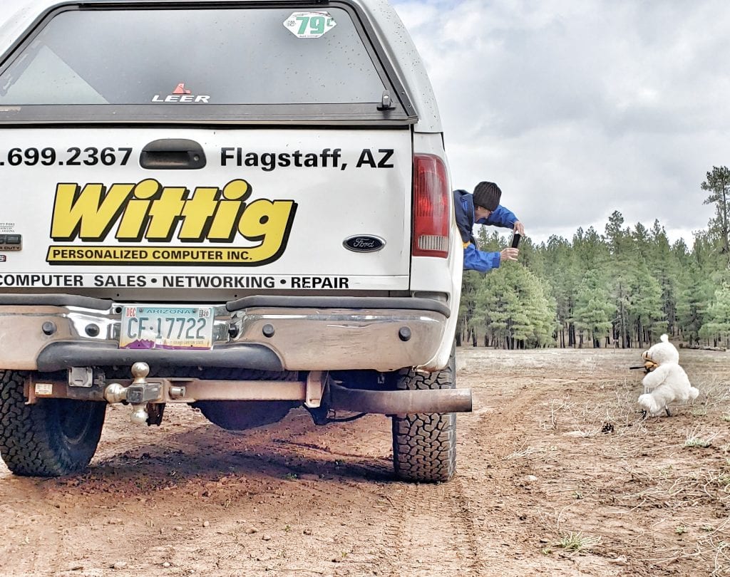 Man leans out of truck window to take picture of plush animal toy polar bear on ground