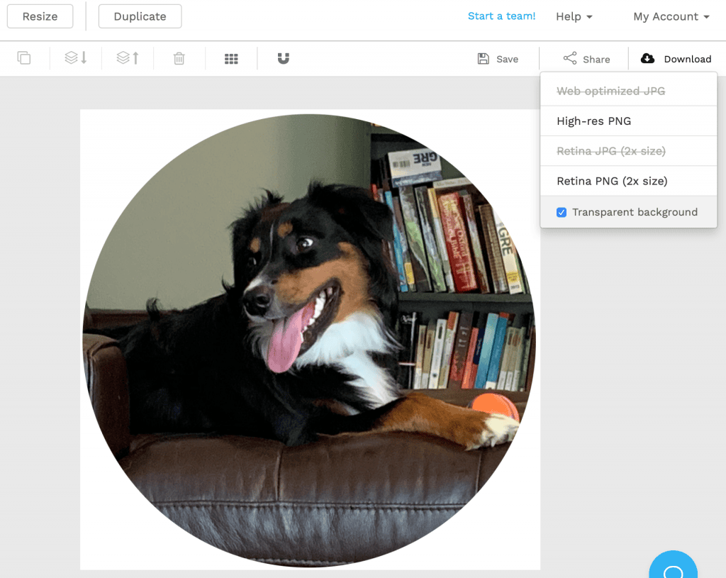 download circle design idea