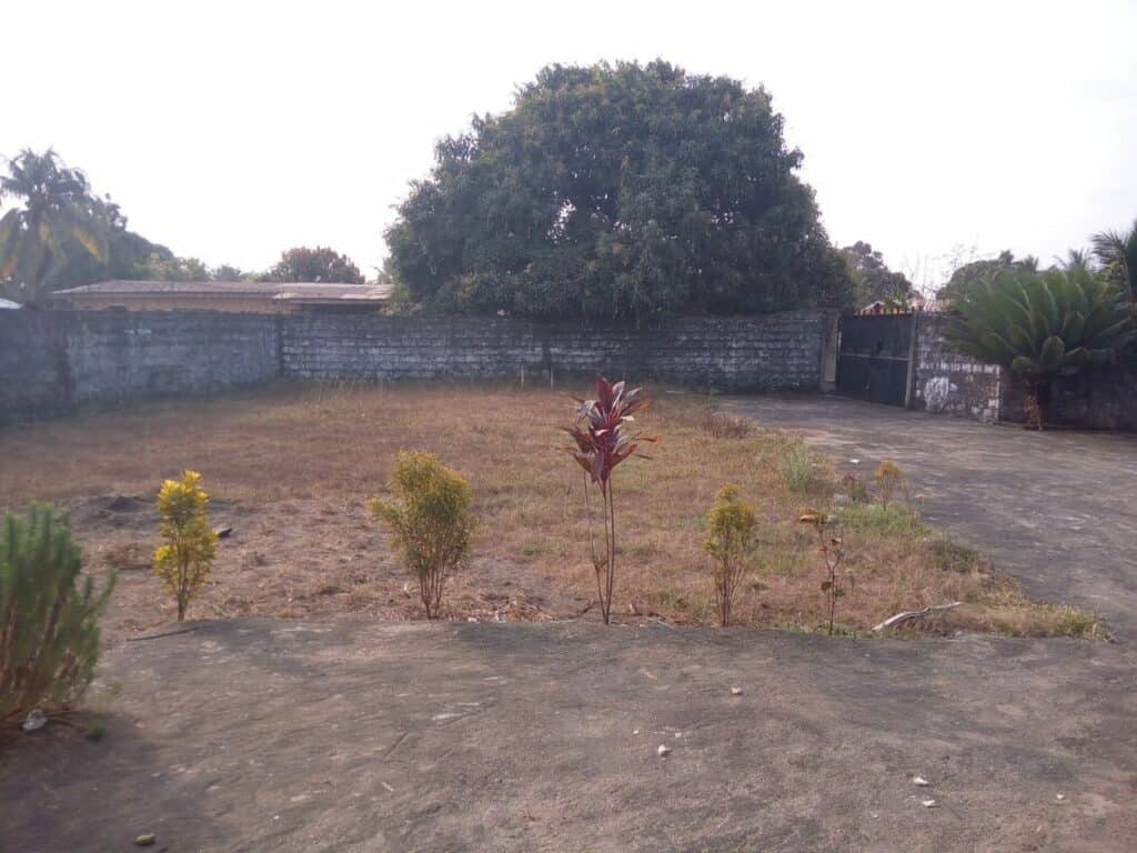 Compound Front Yard Frances Blog - The Koinonia Trust
