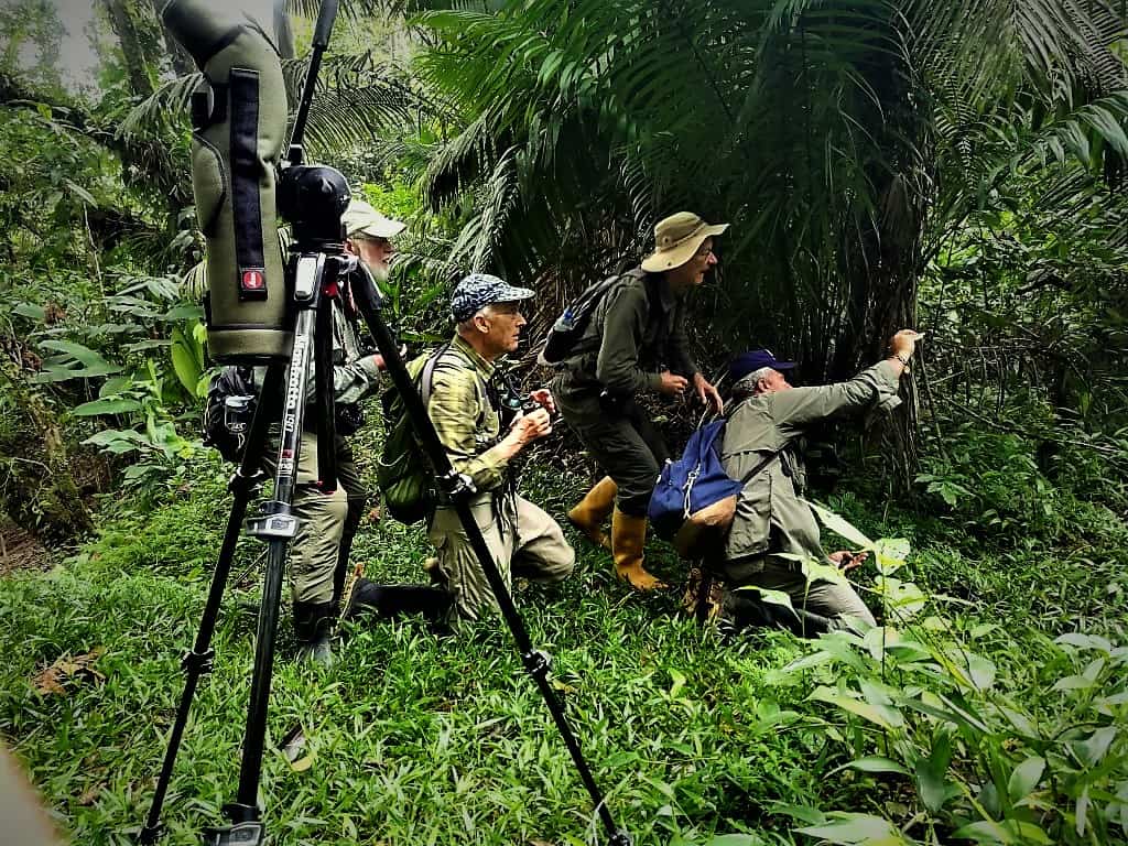10 Amazing Facts About the Amazon Rainforest in Ecuador