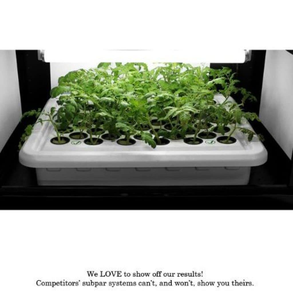 Top 10 Best Stealth Grow Boxes An Expert S Advice Reviews 2020