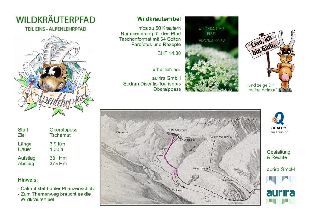 Wildkräuter Wanderung Wildkräuter Wanderung