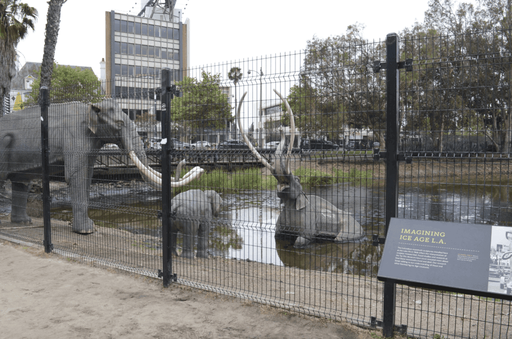 La Brea Tar Pits LA Los Angeles