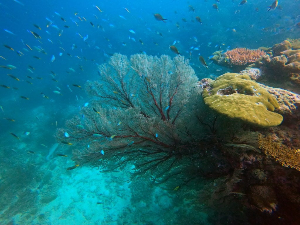 อ่าวสุเทพ เกาะสุรินทร์