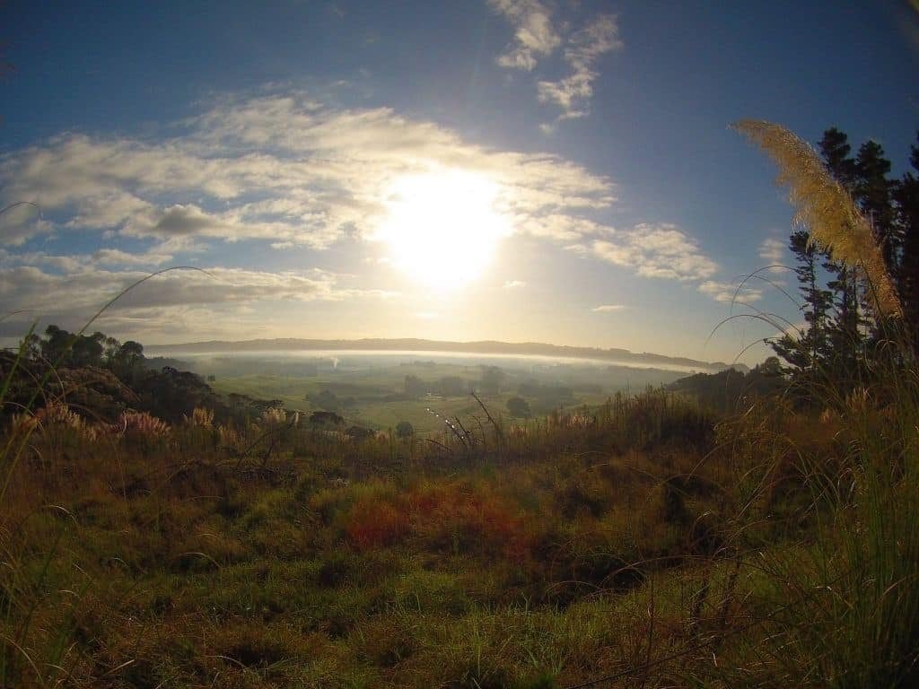 sunrise woodhill