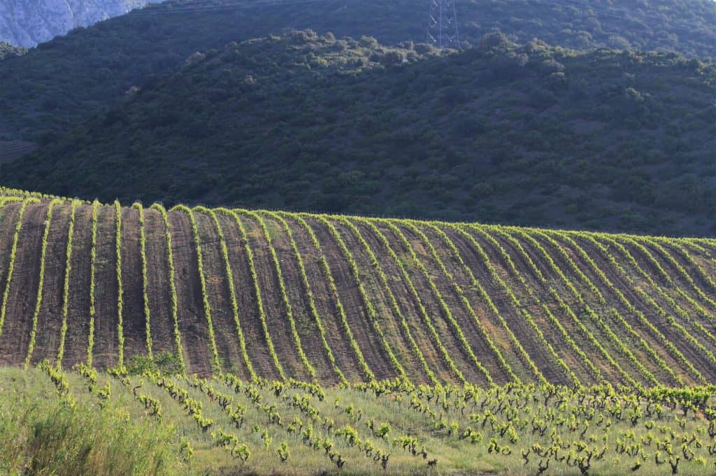 Det kulliga landskapet i Maury, Languedoc