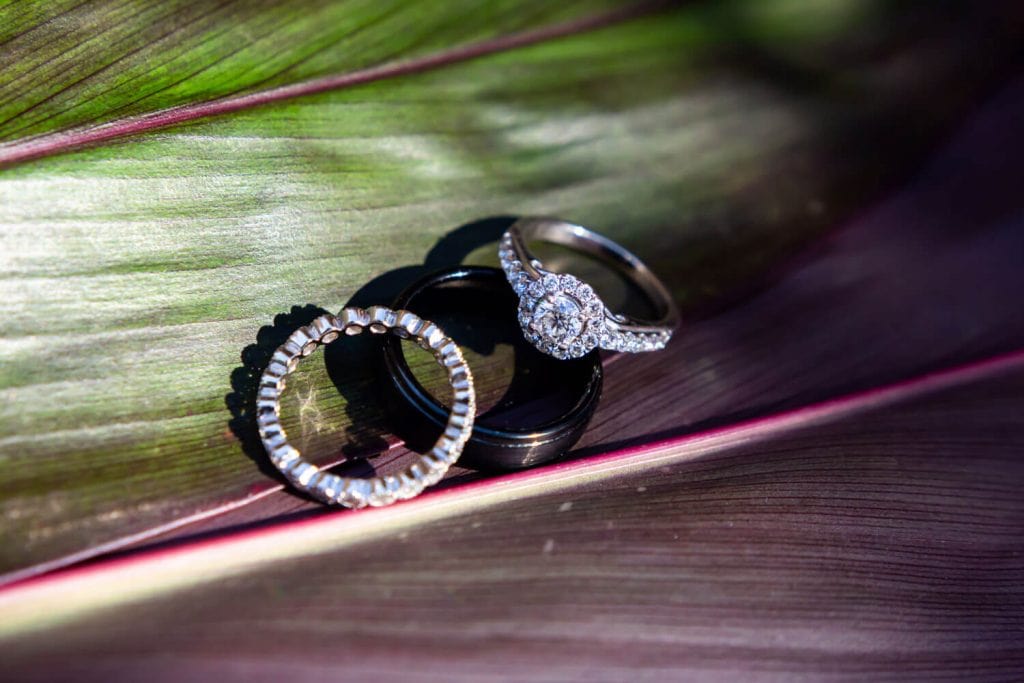close up detail of wedding rings