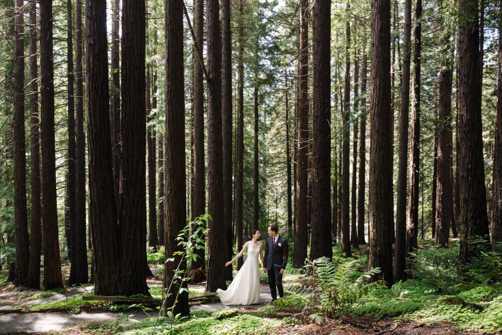 california redwoods elopement