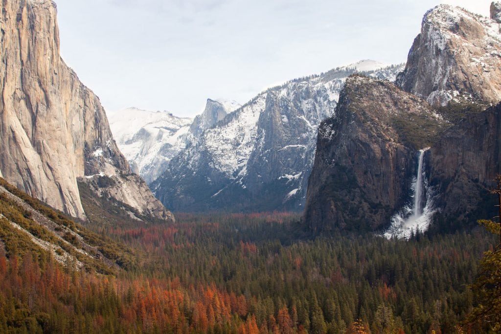 yosemite elopement location