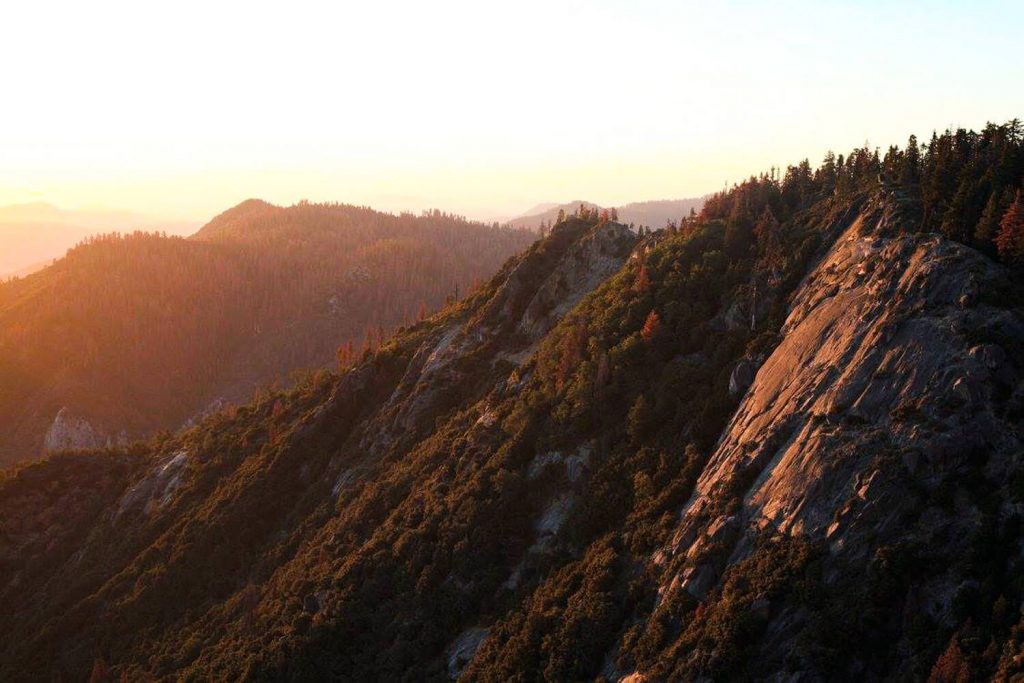 Sequoia National Park