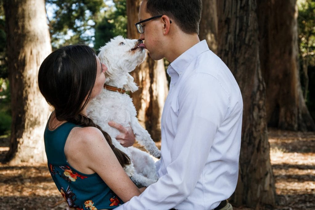 engagement photo with dog