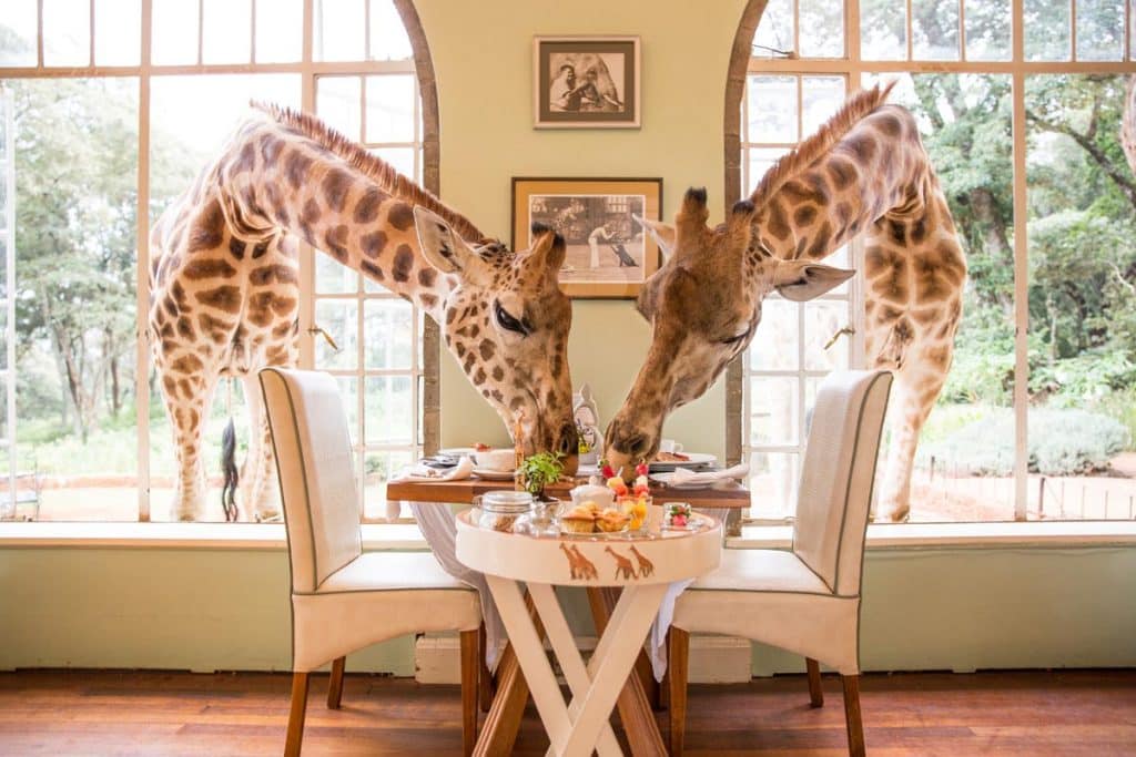 Giraffe Manor in Nairobi | Ker & Downey® Africa