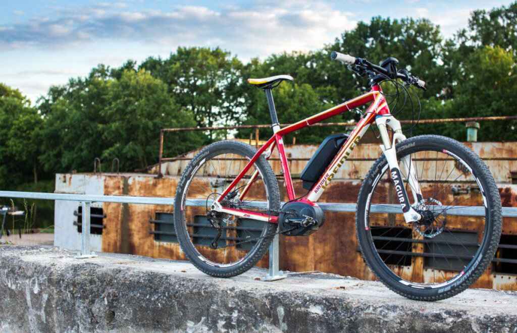 kreidler vitality dice 29er