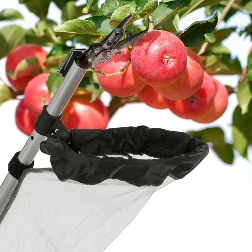 Waldbeck Telescopic Apple Picker