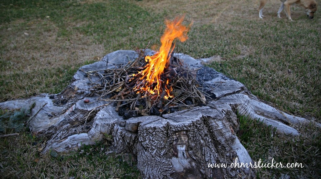 Diy Tree Stump Fire Pit Tutorial