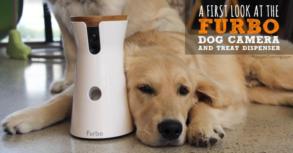 A First Look Furbo Dog Camera Review Puppy In Training