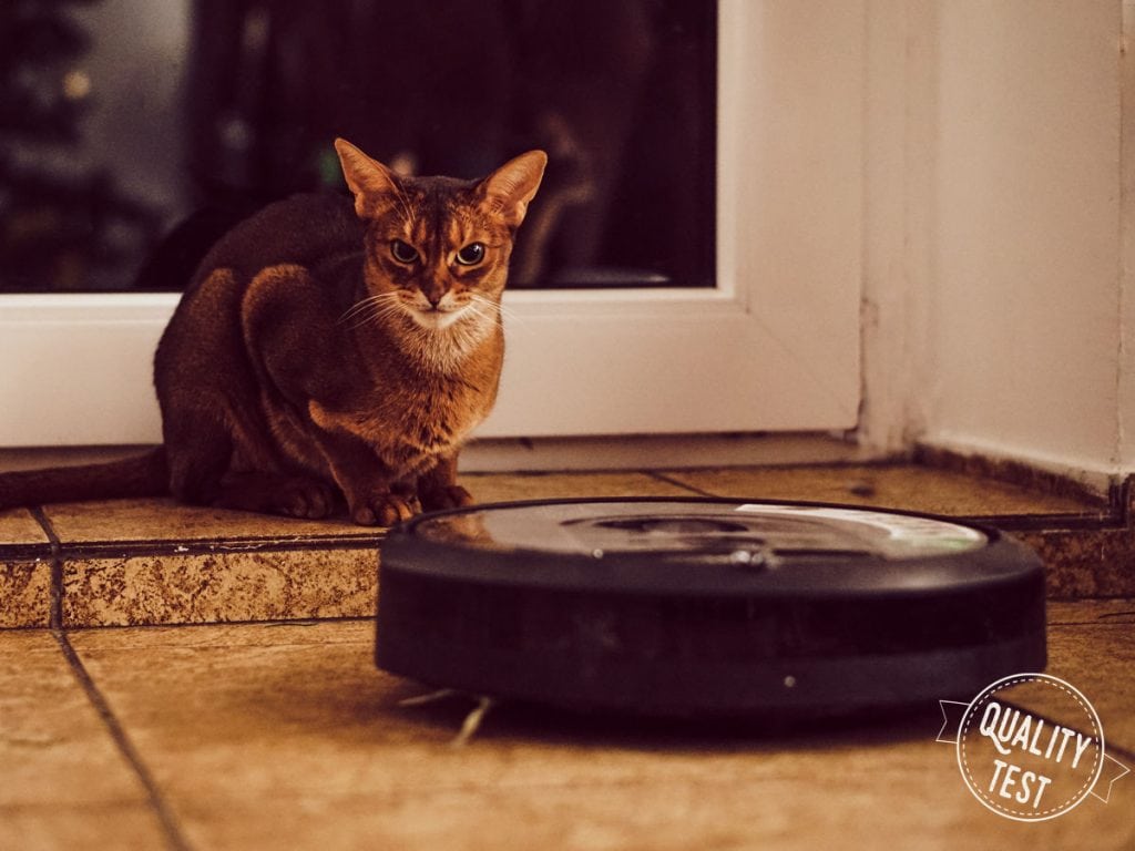 iRobot Roomba i7 plus – prawdziwie autonomiczny odkurzacz Roobma kot 1024x768 - iRobot Roomba i7 plus – prawdziwie autonomiczny odkurzacz