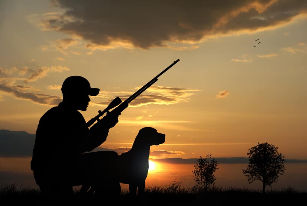 Find the best rifle scope under 500