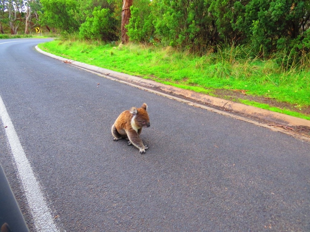 Things to see on Perth to Melbourne road trip.