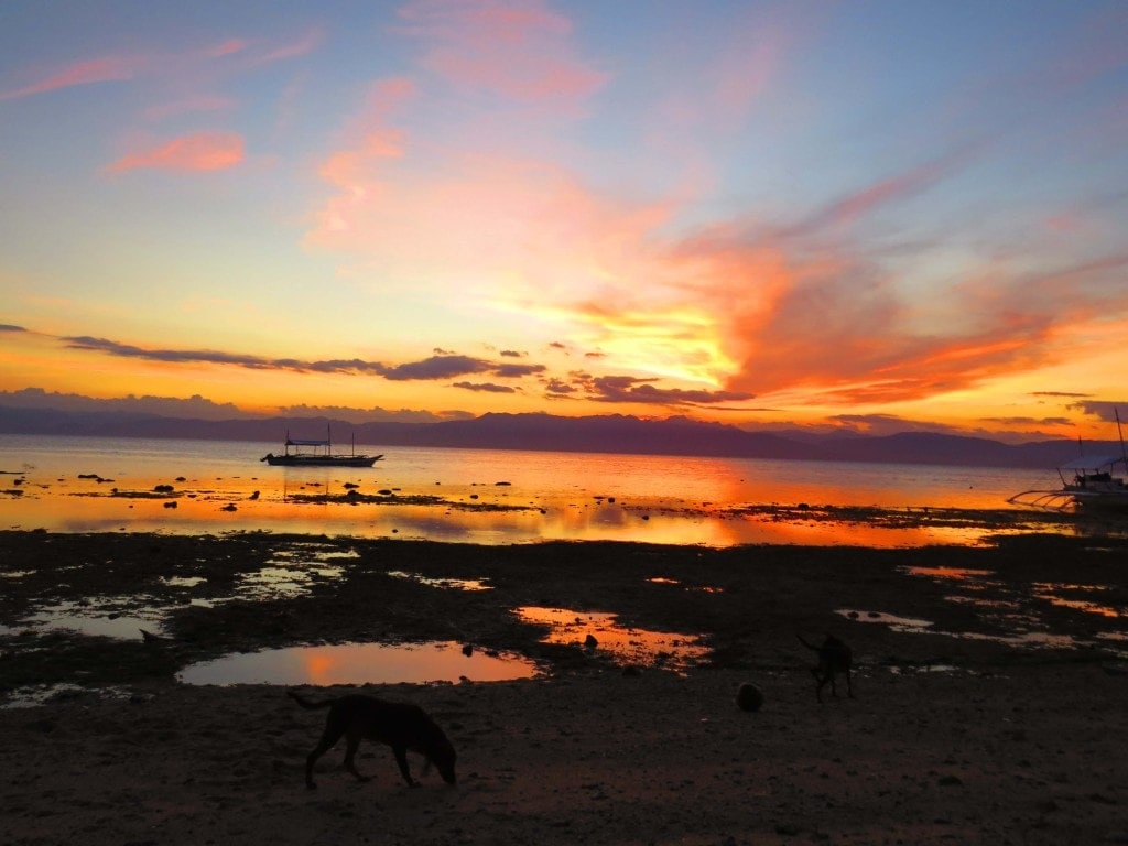 Dinner and Sunset drinks in Moalboal