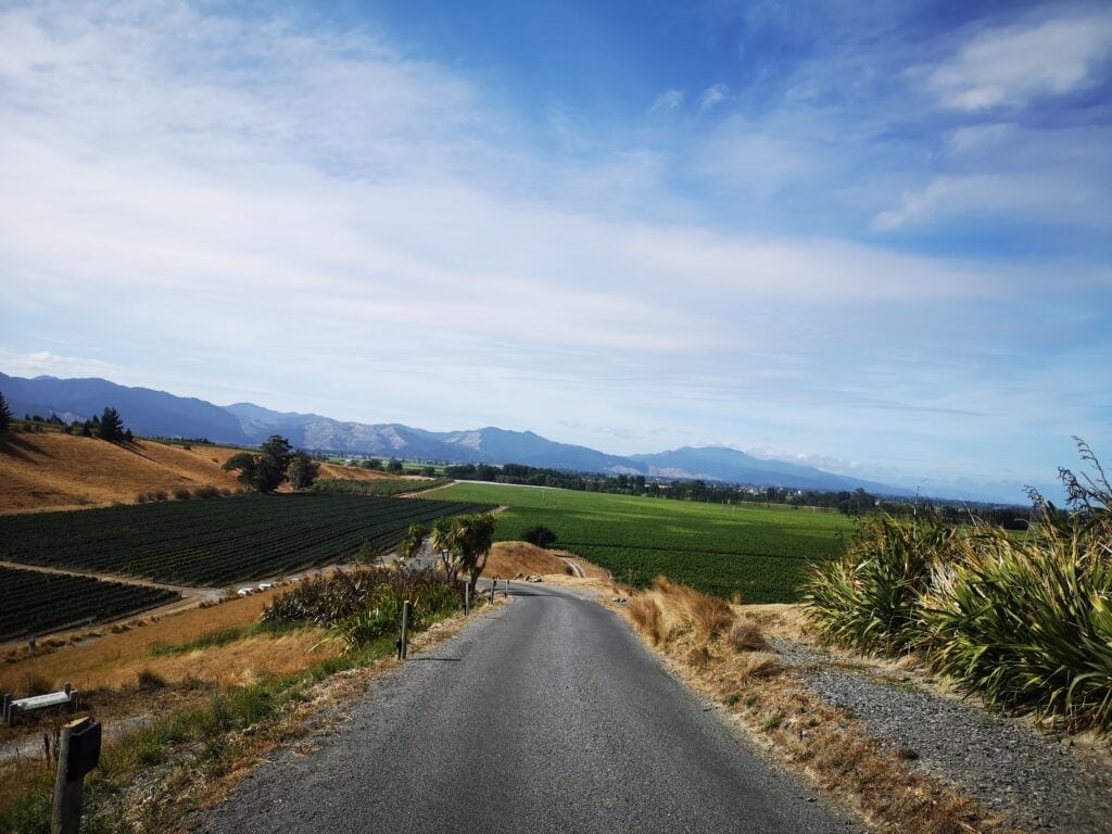 Marlborough wine region on our South Island of NZ road trip