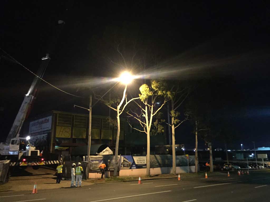 Homebush Night Tree Removal
