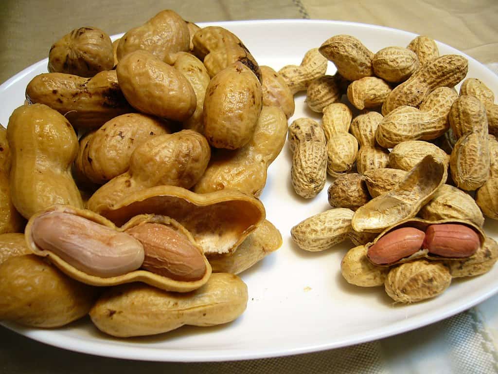 boiled peanuts