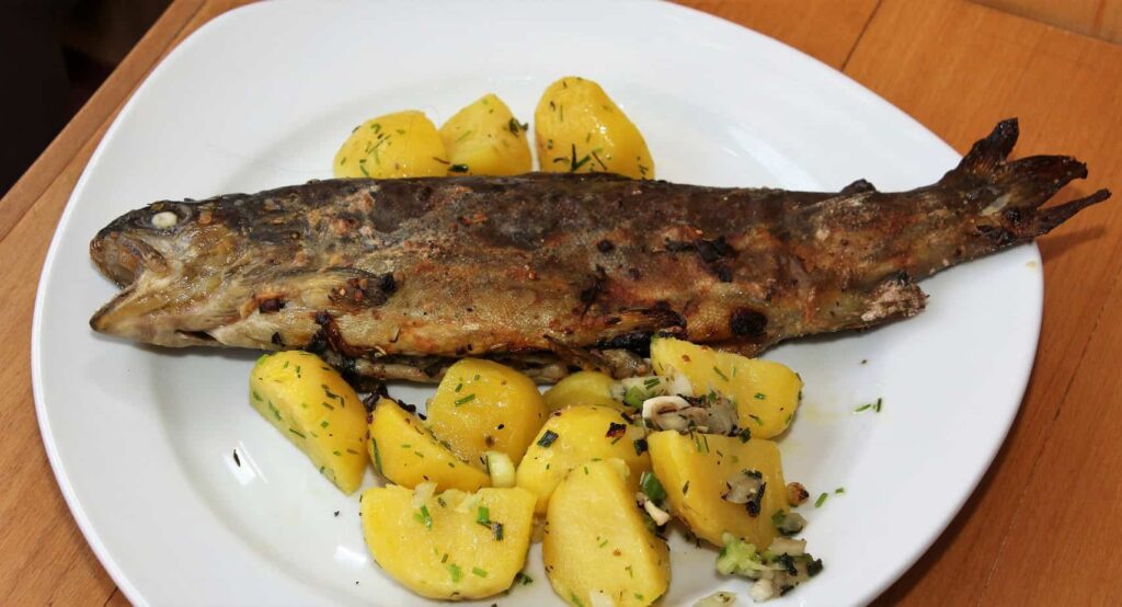 ohrid trout