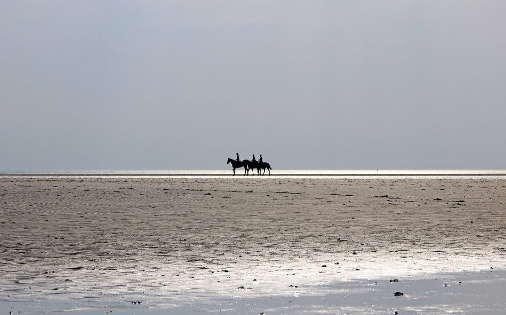 Horse Riding Cape Town Beach Romantic Wine Tasting