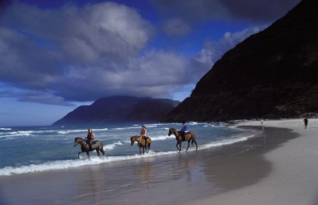 Horse Riding Cape Town (Beach, Romantic & Wine Tasting) Tickets 'n Tour
