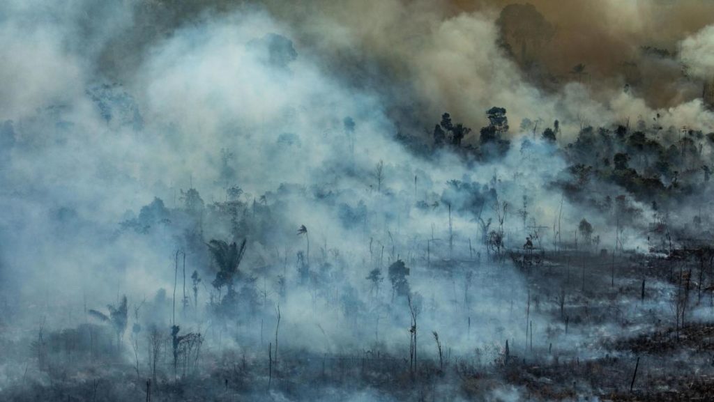 incendie Amazonie