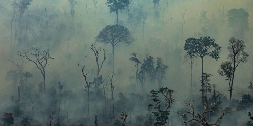 Incendie Amazonie