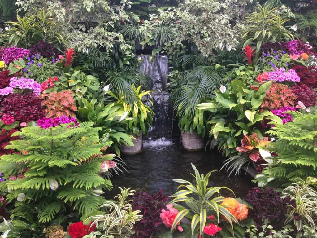 Water Garden