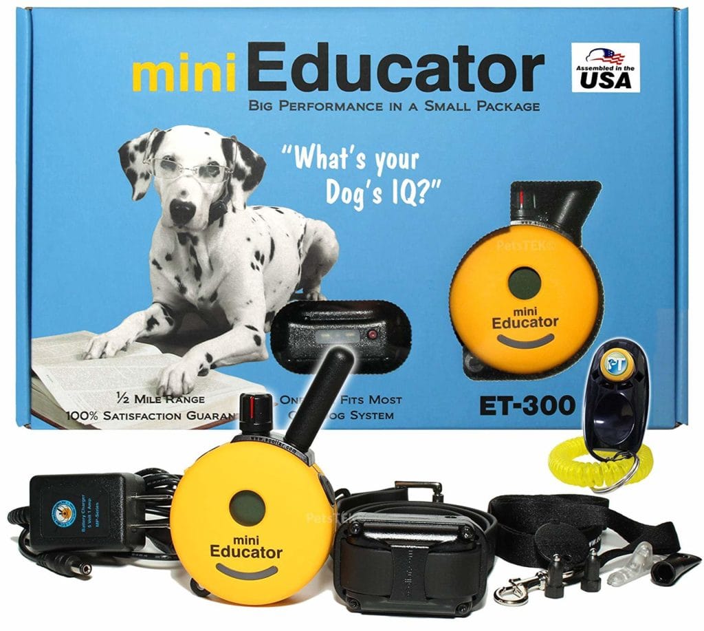 e collar training system for dogs