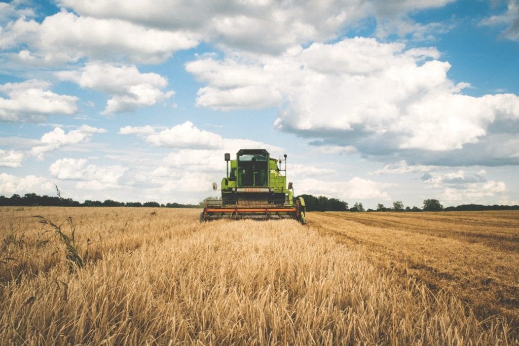 cereal-clouds-cropland-175389