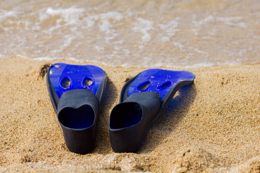 Short Snorkel Flippers