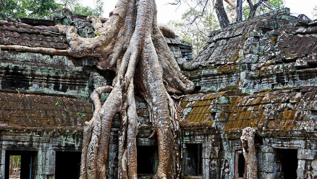 Ta Prohm