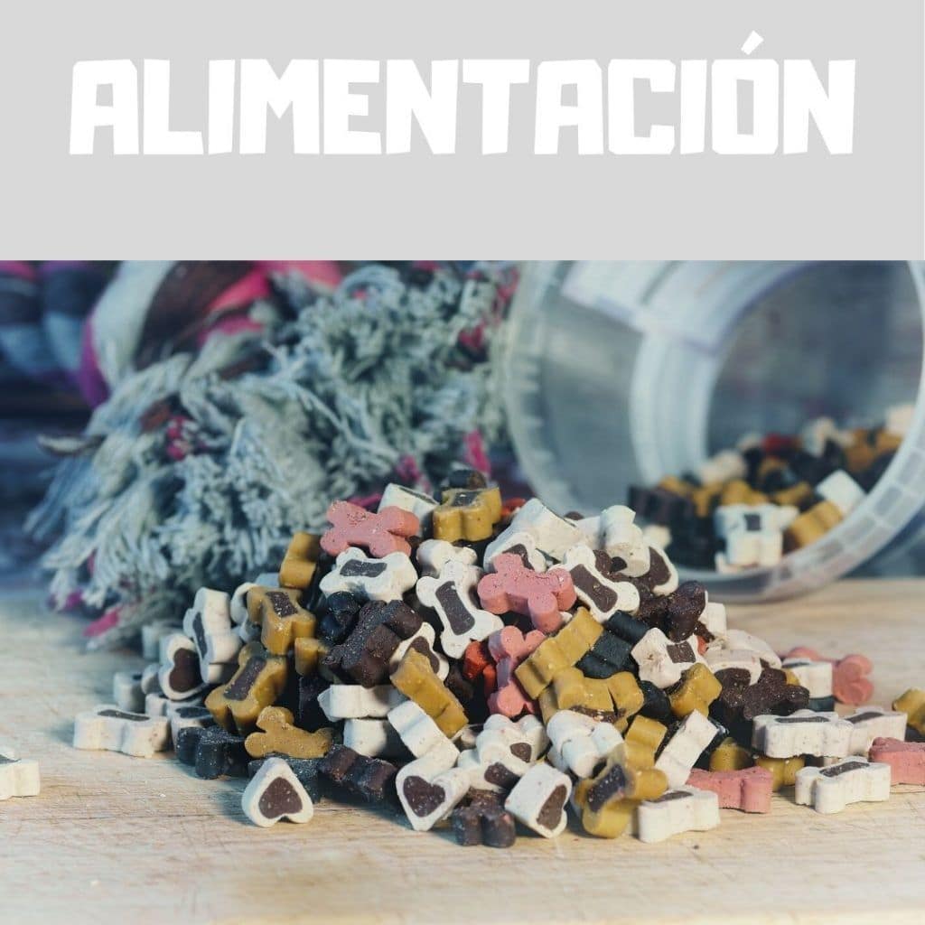 Alimentación del cachorro