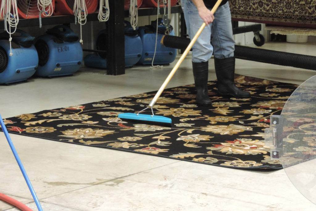 rugs cleaning