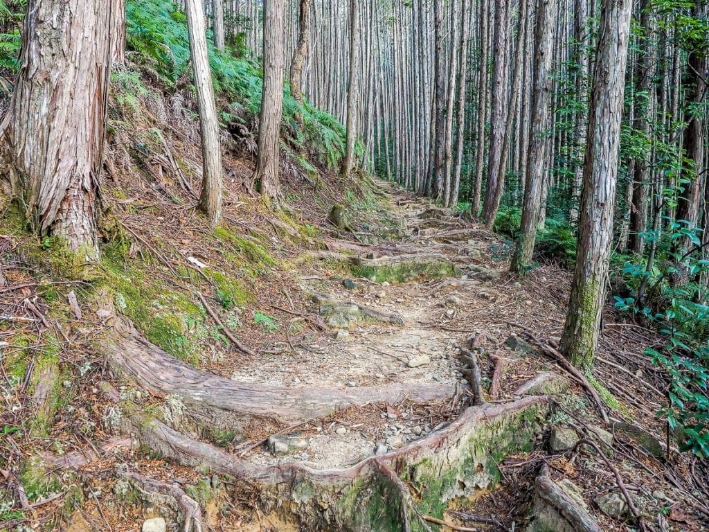 Japan S Sacred Kumano Kodo Walk In Winter Spiritual Travels