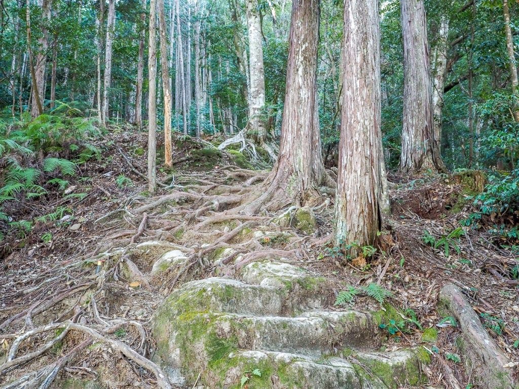 Japan S Sacred Kumano Kodo Walk In Winter Spiritual Travels