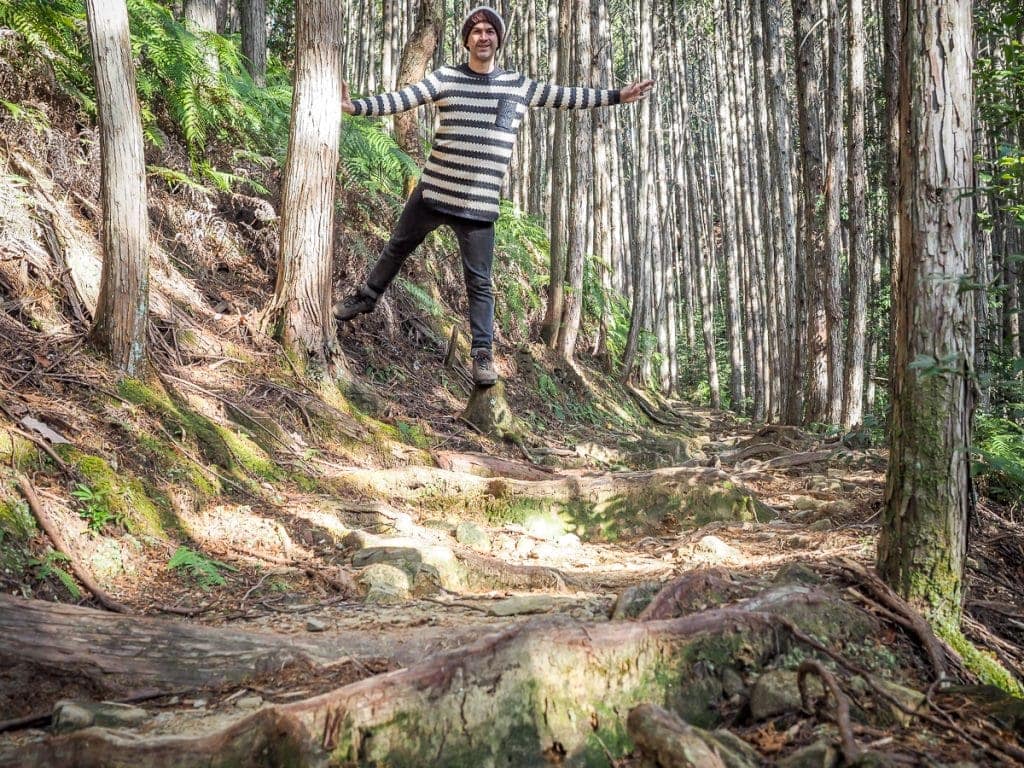 Japan S Sacred Kumano Kodo Walk In Winter Spiritual Travels