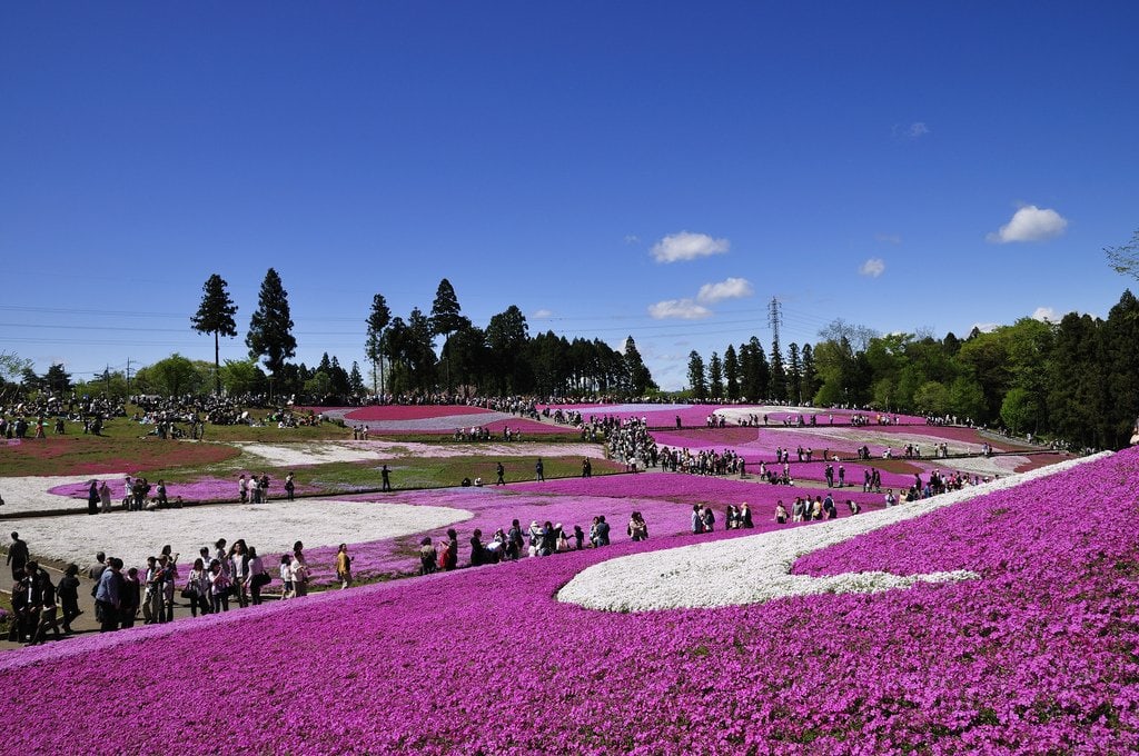 Hitsujiyama Park - Japan