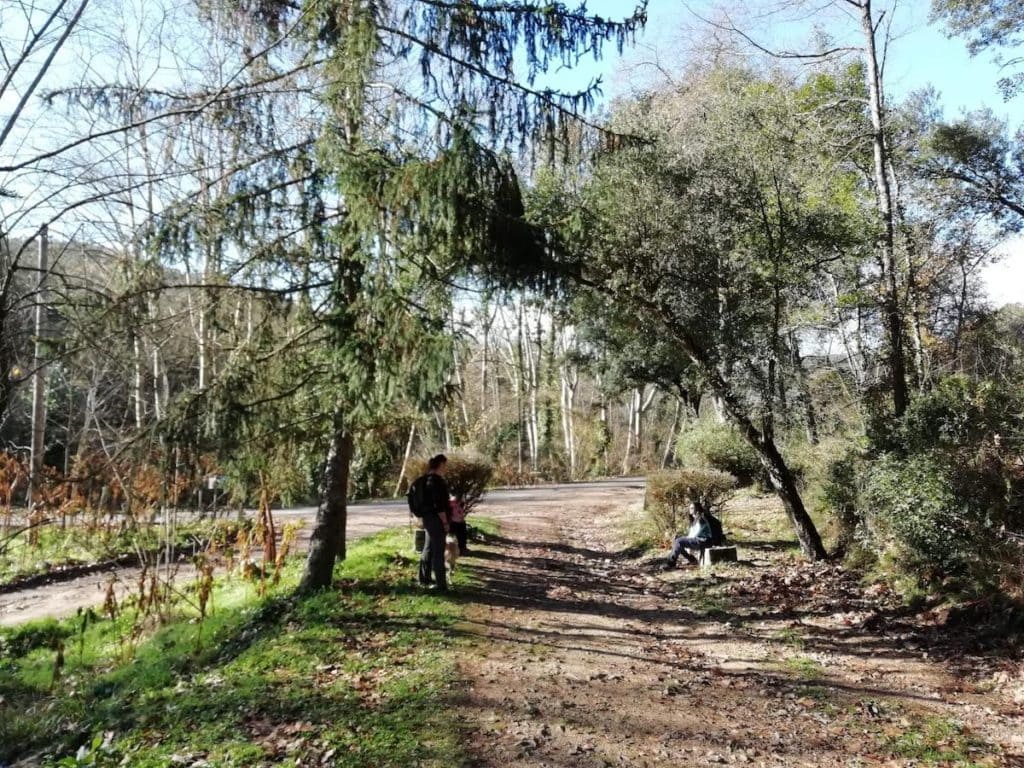 vall-olzinelles-sl-c79
