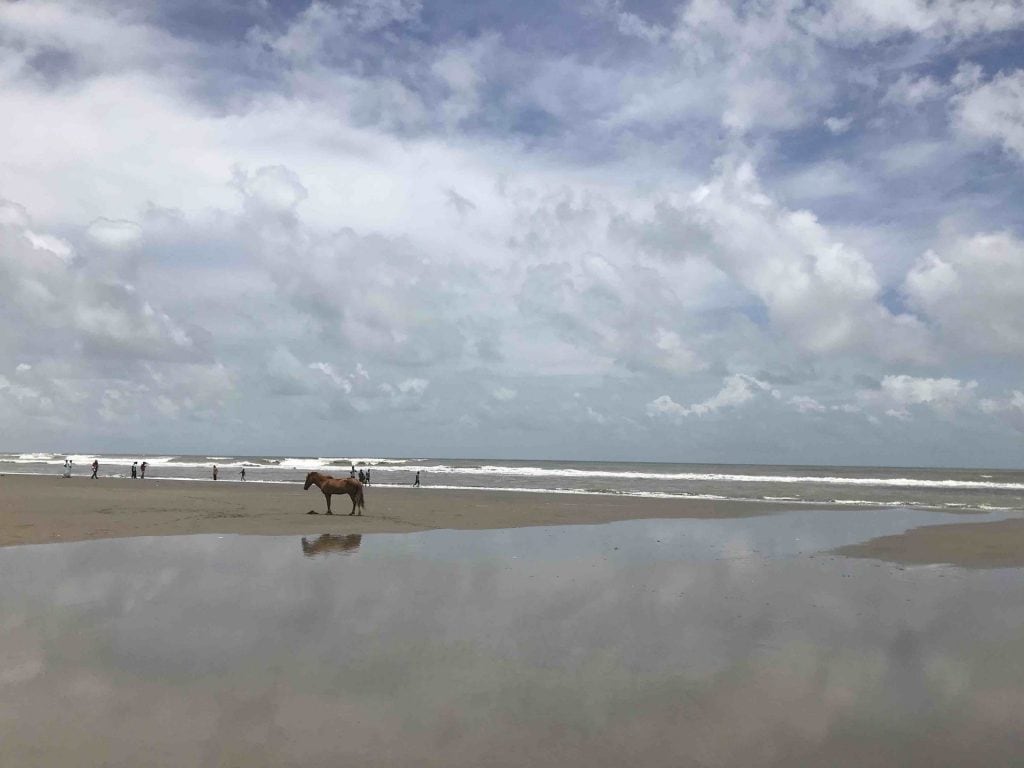 cavallo-spiaggia-riflesso